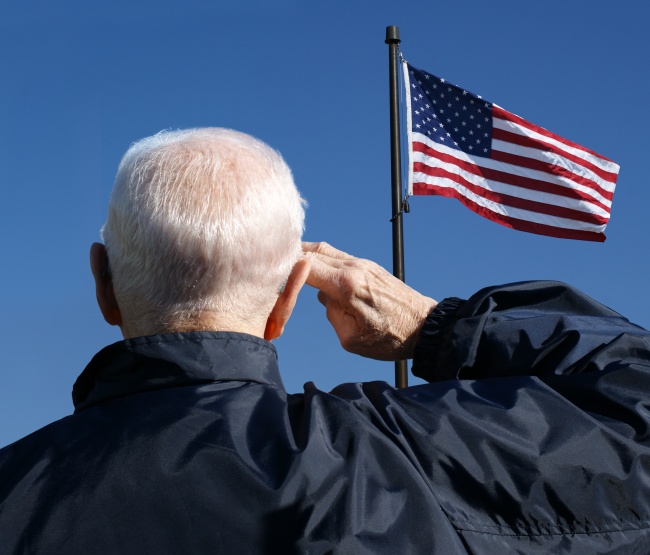 Veteran Salute